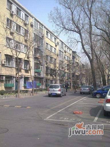 团结湖南一条实景图图片