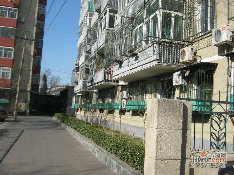 水锥子西里实景图图片
