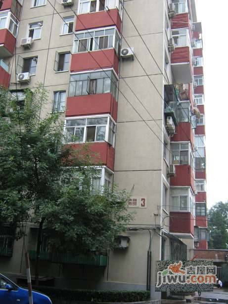 水锥子西里实景图图片