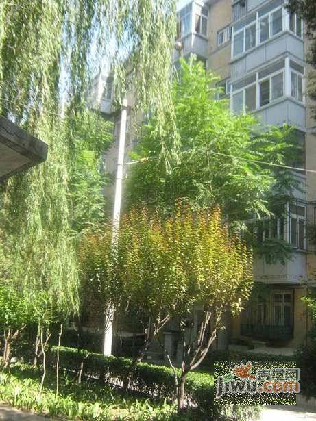 白家庄北里实景图图片