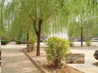 名佳花园二区实景图图片