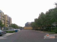 龙锦苑五区实景图14