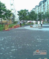 龙锦苑五区实景图14