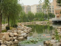 北京太阳城实景图图片