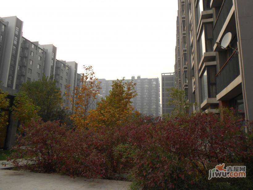 华发颐园实景图图片
