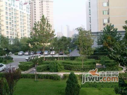 翠堤春晓实景图图片