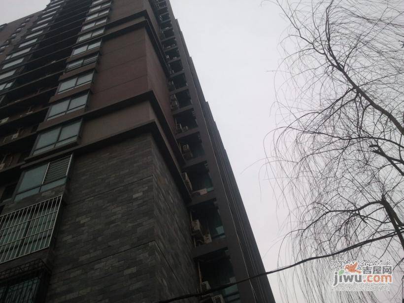 华源之星实景图图片