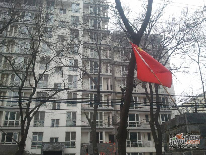 华源之星实景图图片