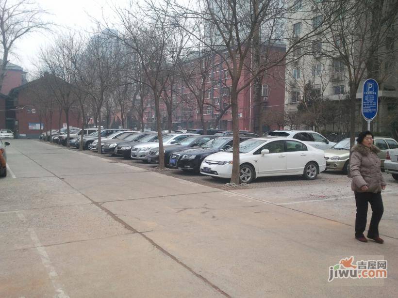 华源之星实景图图片