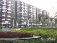 建邦枫景实景图10
