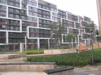 建邦枫景实景图10