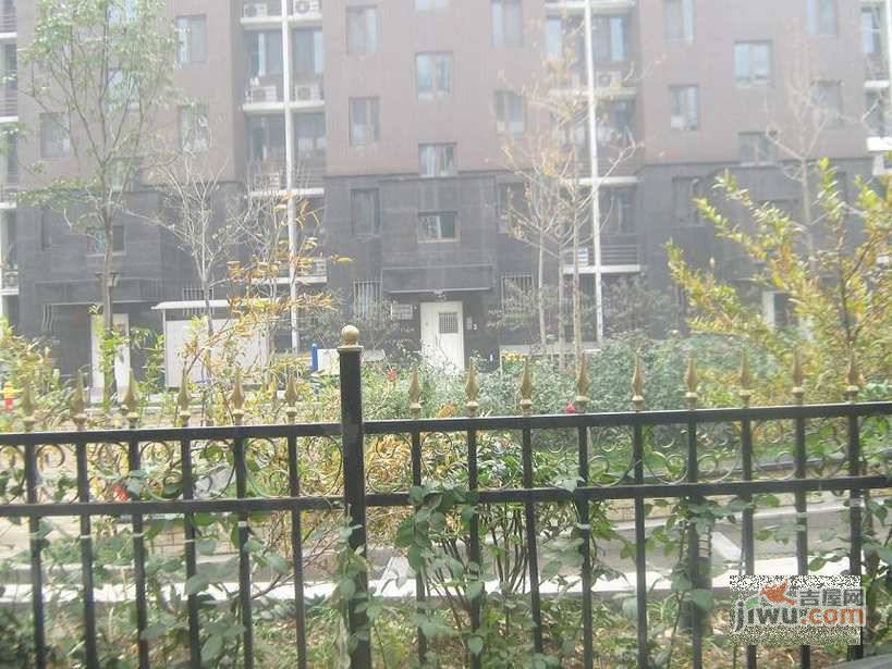 悦园悦莱苑实景图图片