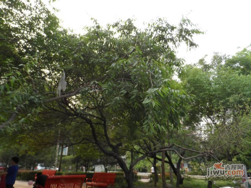 北科塔院小区实景图图片