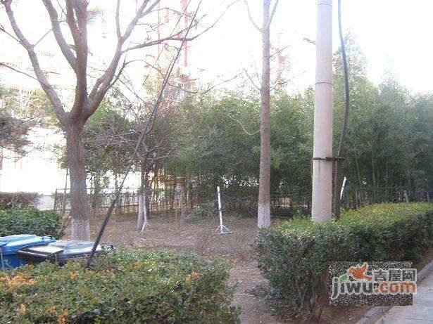 索家坟小区实景图图片