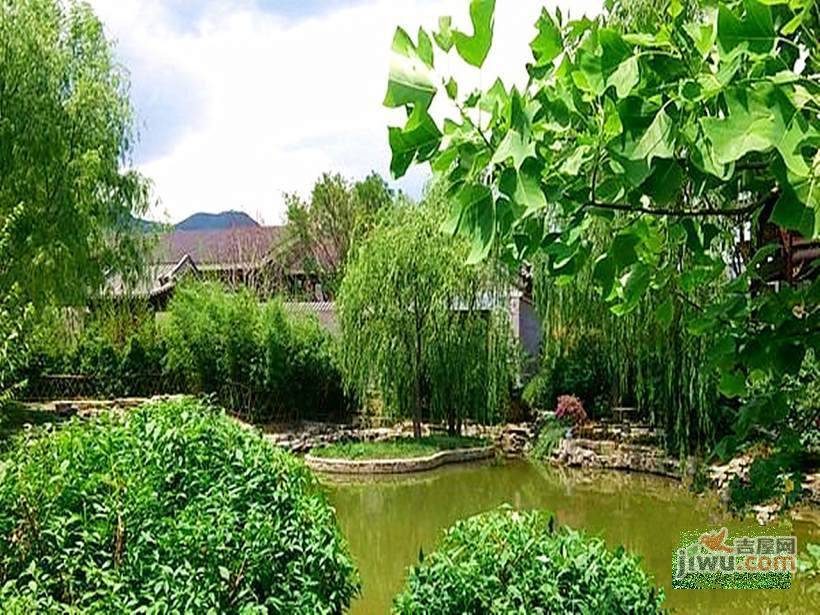 香山清琴实景图图片