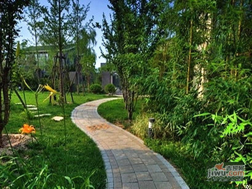 香山清琴实景图图片