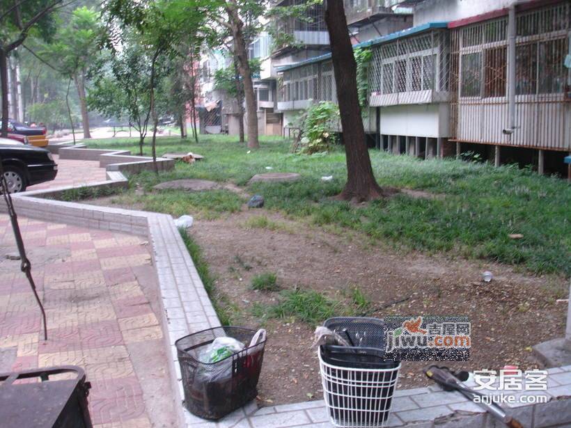 北蜂窝中路散盘实景图图片