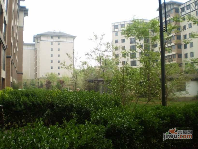 北蜂窝中路散盘实景图图片