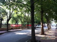 樱花园一区实景图6