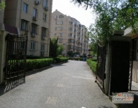 樱花园一区实景图6