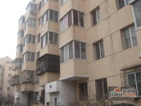 樱花园一区实景图6