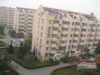 樱花园一区实景图6
