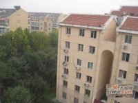 樱花园一区实景图6