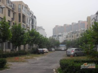 美林新东城实景图图片