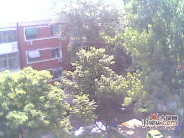 中兴巷小区实景图图片