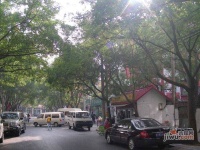 新兴东巷实景图图片