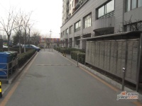 恋日花都实景图图片