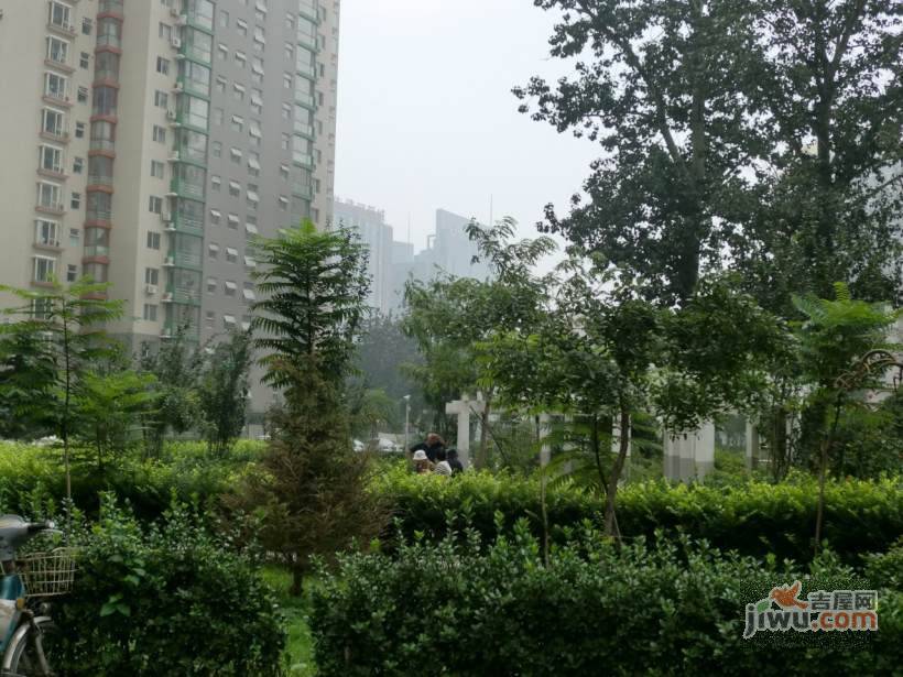 水木天成实景图图片