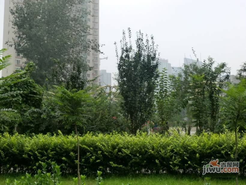 水木天成实景图图片