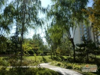 莱圳家园实景图图片