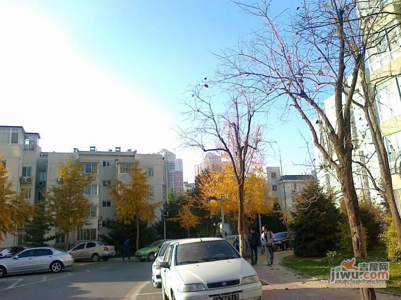 望京花园西区实景图图片