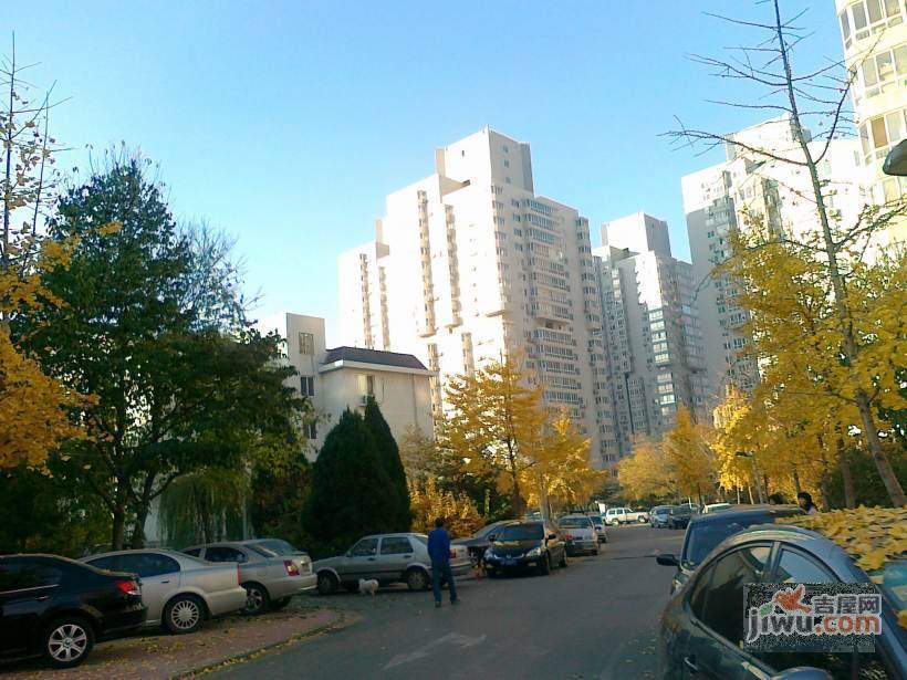 望京花园西区实景图图片