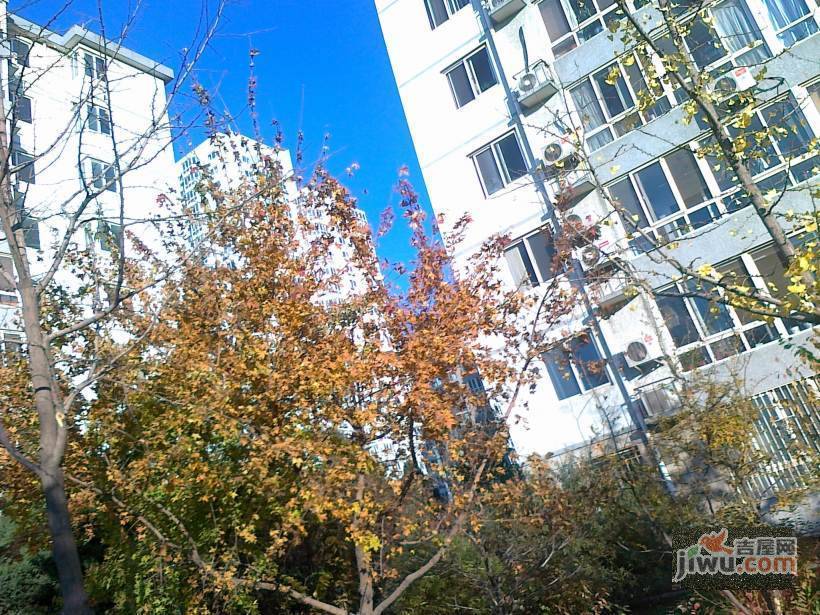 望京花园西区实景图图片