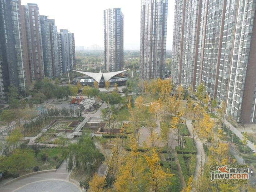 澳洲康都一期实景图图片