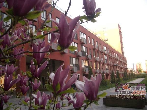 西八里庄社区实景图图片