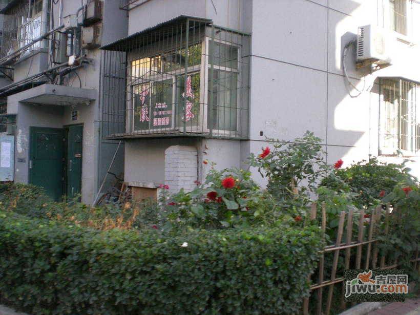马连洼小区兰园实景图图片