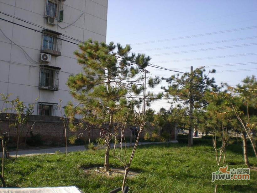 马连洼小区兰园实景图图片