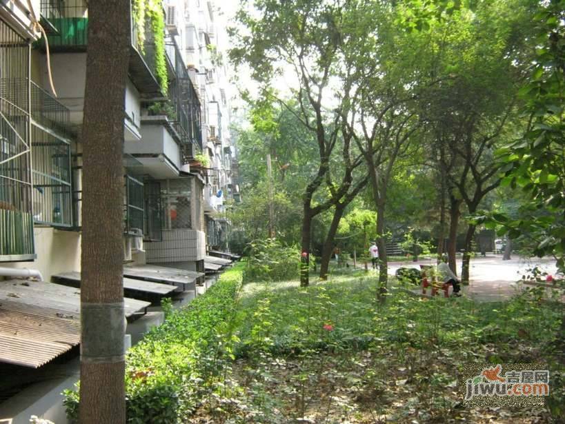 团结湖中路南三条小区实景图图片
