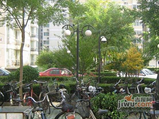 政馨园二区实景图图片
