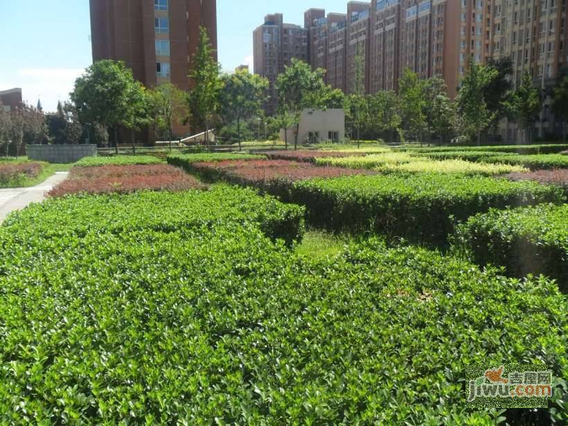 万年花城三期实景图图片