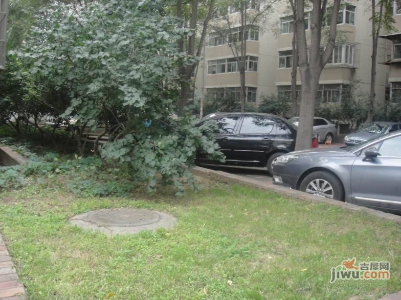 南湖东园实景图图片