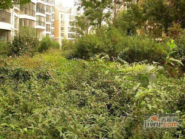 澳景花庭实景图图片