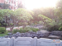丽城花园实景图图片