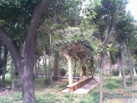 龙威花园实景图图片