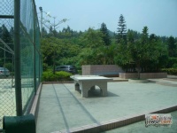 东江花园实景图图片