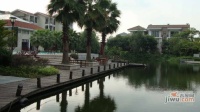 丽水家园实景图图片